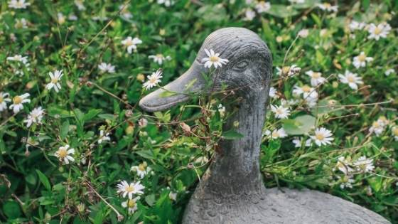 Incorporating statues into your yard or garden can be an art form all on its own. Here's how you can nail the perfect balance on your first try.